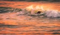 A speed blur image of a surfer on a wave at sunset