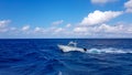 Speed fishing tender boat jumping the waves in the sea and cruising the blue ocean day in Bahamas. Blue beautiful water Royalty Free Stock Photo