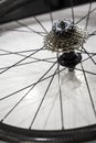 Speed gear crowned tooth bicycle rear wheel detail with rims and spokes Royalty Free Stock Photo