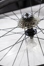 Speed gear crowned tooth bicycle rear wheel detail with rims and spokes Royalty Free Stock Photo