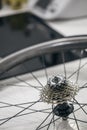 Speed gear crowned tooth bicycle rear wheel detail with rims and spokes Royalty Free Stock Photo