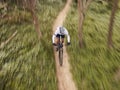 Speed, nature and cyclist on bicycle from above with helmet, exercise adventure trail and forrest fitness. Cycling Royalty Free Stock Photo