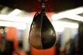 Speed punching bag in gym