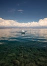 Speedboat cruising the crystal clear sea of Lovran in Croatia Royalty Free Stock Photo