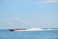 Speedboat racing, miami beach