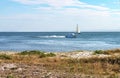 Speeding motorboat and catamaran sailboat in bay with faint mountains in distance and beach with grass and wildflowers in Royalty Free Stock Photo
