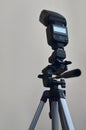 Speedlight gun with trigger set mounted on tripod