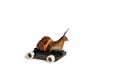 Speedy snail on wheels, driving, isolated on white background