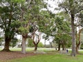 Speers Point Park Royalty Free Stock Photo