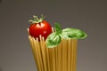 Speghetti with tomato Royalty Free Stock Photo