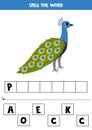 Spelling game for preschool kids. Cute cartoon peacock. Royalty Free Stock Photo