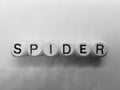 Spelling of spider using wooden dice Royalty Free Stock Photo