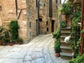 Spello town in Umbria region, Italy. History, art, cat and plants Royalty Free Stock Photo