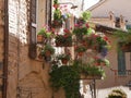 Spello - typical street gardens