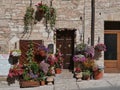 Spello - typical street gardens