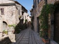 Spello - typical street gardens