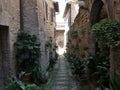 Spello - typical street gardens