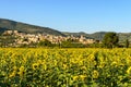 Spello Umbria Italy