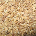 Spelt closeup Royalty Free Stock Photo