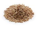 Spelt, farro, primitive wheat