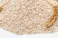 Spelt heap and ear on white background