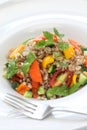 Spelt salad, insalata di farro, italian cuisine Royalty Free Stock Photo