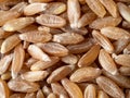 Spelt seeds as food background Royalty Free Stock Photo