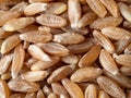 Spelt seeds as food background