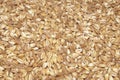 Spelt seeds background Royalty Free Stock Photo