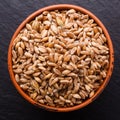 Spelt seeds on a dark stone background