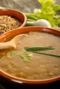 Spelt soup Royalty Free Stock Photo
