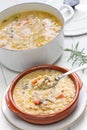 Spelt soup, farro soup, italian cuisine Royalty Free Stock Photo