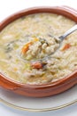 Spelt soup, farro soup, italian cuisine Royalty Free Stock Photo