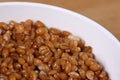 Spelt and Wheat Berries