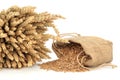 Spelt Wheat Royalty Free Stock Photo