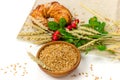 Spelt whole grain flour in ceramic bowl, wheat ears and homemade roll bun