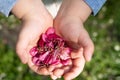 Spending time outside. Flowers are in the child`s hands. Young girl in the spring park Royalty Free Stock Photo