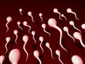 Sperm