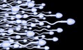 Sperm Royalty Free Stock Photo