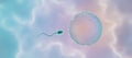 Sperm approaching egg cell beginning fertilization process Royalty Free Stock Photo