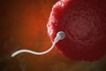 Sperm is approaching the human egg. IVF, insemination and reproduction concept. 3D rendered illustration.