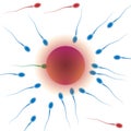 Sperm attack Royalty Free Stock Photo
