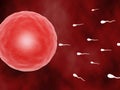 Sperm attack Royalty Free Stock Photo