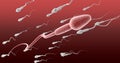 Sperm Cell Female Against The Flow Royalty Free Stock Photo