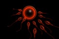 Sperm cells Royalty Free Stock Photo