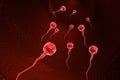 Sperm cells Royalty Free Stock Photo