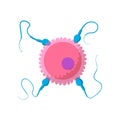 Sperm cells and human egg cartoon icon Royalty Free Stock Photo