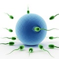 Sperm cells surrounding a large blue egg cell in a microscopic view Royalty Free Stock Photo