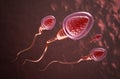 Sperm cells swim to the egg Royalty Free Stock Photo