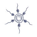 Sperm and egg cell hand drawing Royalty Free Stock Photo